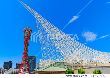 兵庫縣神戶市美利堅公園的神戶港塔與神戶海洋博物館 116514928