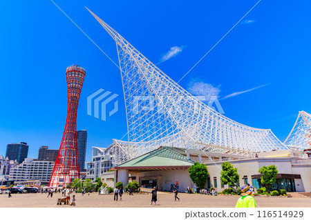 Kobe Port Tower and Kobe Maritime Museum in Meriken Park, Kobe City, Hyogo Prefecture 116514929
