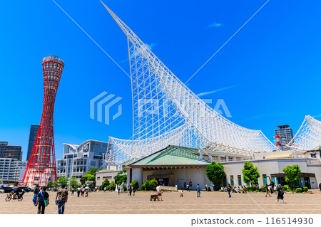 兵庫縣神戶市美利堅公園的神戶港塔與神戶海洋博物館 116514930