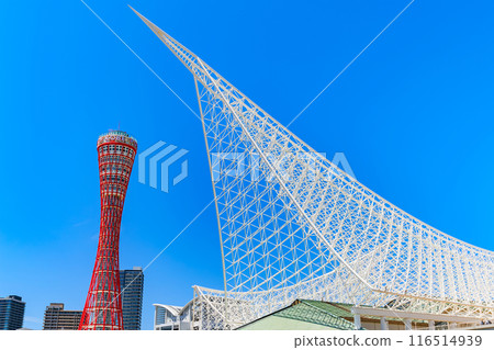 Kobe Port Tower and Kobe Maritime Museum in Meriken Park, Kobe City, Hyogo Prefecture 116514939
