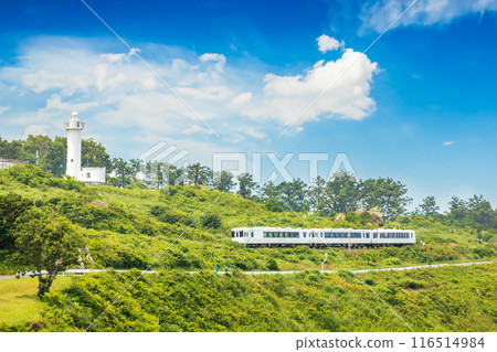"Aomori Prefecture" Tohoku Emotion Running on the Tanesashi Coast, Hachinohe City 116514984