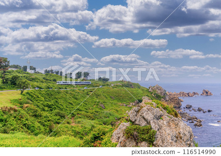 沿著青森縣八戶市種差海岸奔跑的東北情感 116514990