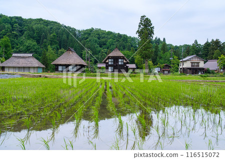 Thatched roof and Sanae Thatched roof and Sanae 116515072