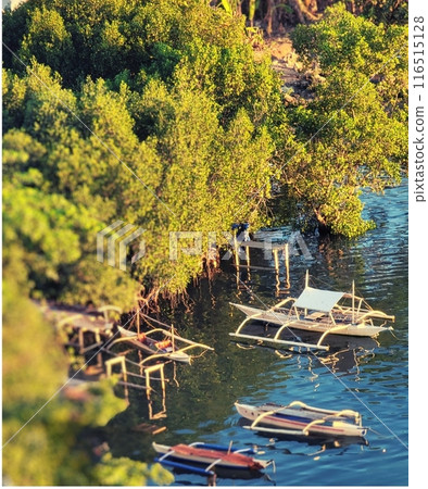 漁民手工製作的碼頭周圍環繞著新鮮的綠樹 116515128