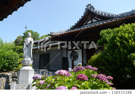 Obakusan Manpukuji Temple Hozoin Temple Uji City, Kyoto Prefecture Obakusan Manpukuji Temple Hozoin Temple Uji City, Kyoto Prefecture 116515186