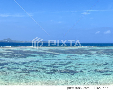 沖繩海 116515450