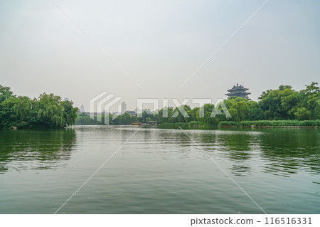 Daming Lake scenery 116516331