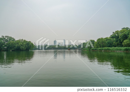 Daming Lake scenery 116516332