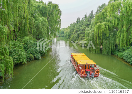 Daming Lake scenery 116516337