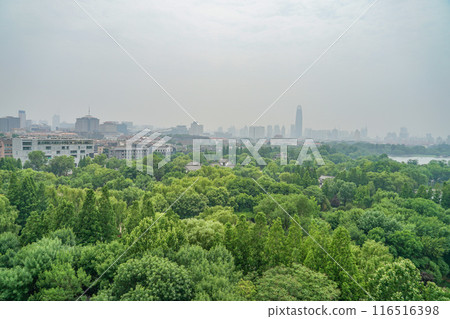 長前路的風景 116516398