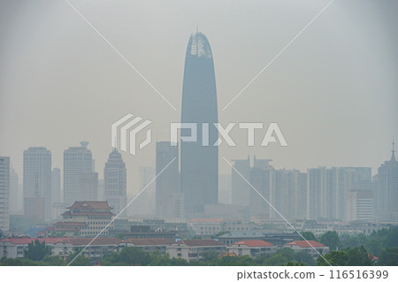 長前路的風景 116516399