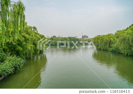 Daming Lake scenery Daming Lake scenery 116516413