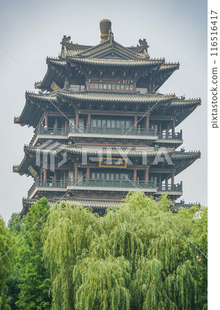 Daming Lake scenery Daming Lake scenery 116516417