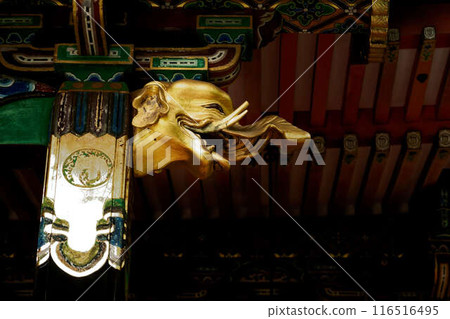 金大象發光 116516495
