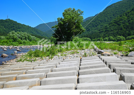 新潟縣湯澤町大橋大橋附近的清津河Sabo/Tetra河床風景 新潟縣湯澤町大橋大橋附近的清津河Sabo/Tetra河床風景 116516903
