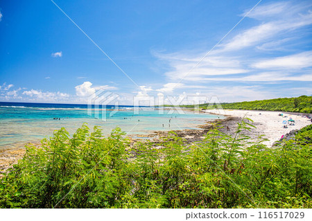Scenery of Odo Coast in Itoman City 116517029