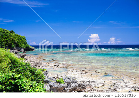 Scenery of Odo Coast in Itoman City 116517030