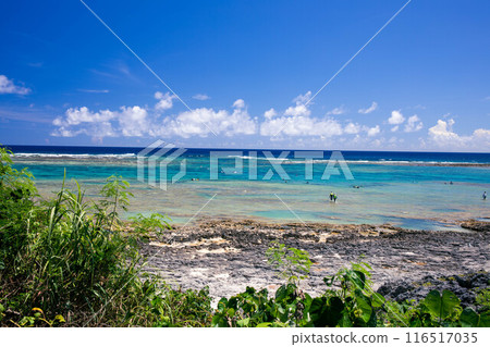 Scenery of Odo Coast in Itoman City Scenery of Odo Coast in Itoman City 116517035