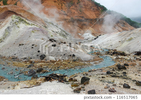 Jigokudani and Yunokawa Jigokudani and Yunokawa 116517065