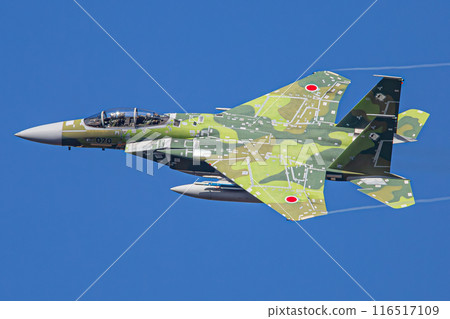 F-15戰鬥機（侵略者）在天空中飛行 116517109