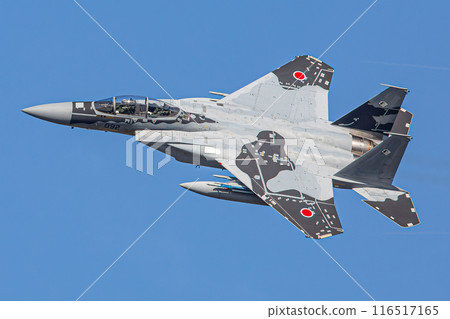 F-15 fighter jets (aggressors) flying in the sky F-15 fighter jets (aggressors) flying in the sky 116517165