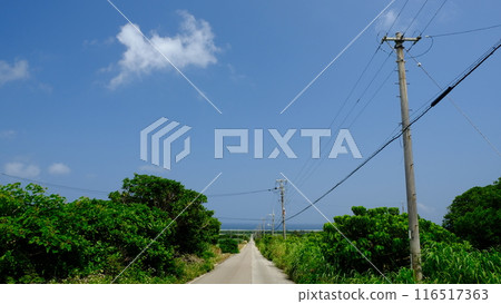 A straight road leading to the sea of Ishigaki Island A straight road leading to the sea of Ishigaki Island 116517363