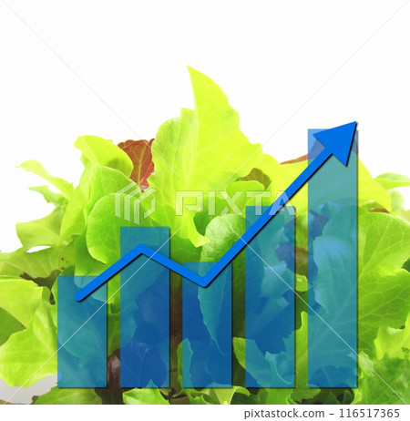 圖表顯示無農藥蔬菜等食品價格上漲 圖表顯示無農藥蔬菜等食品價格上漲 116517365