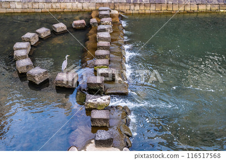 Nakajima River and Meganebashi Bridge [Nagasaki City] 116517568
