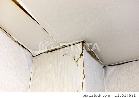 Repair work for wallpaper peeling due to rain leaks Repair work for wallpaper peeling due to rain leaks 116517681