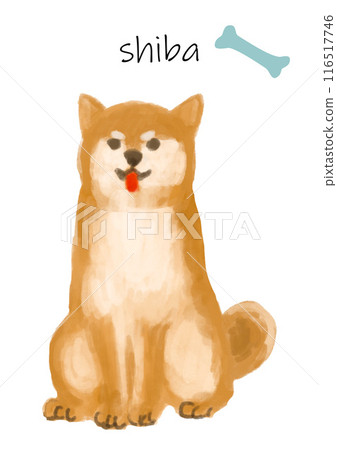 Shiba Inu dog illustration material Shiba Inu dog illustration material 116517746