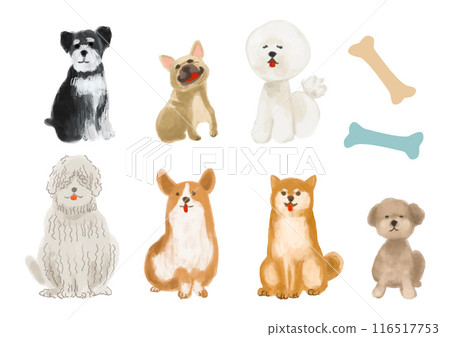 Illustration material of small and medium-sized dogs Illustration material of small and medium-sized dogs 116517753