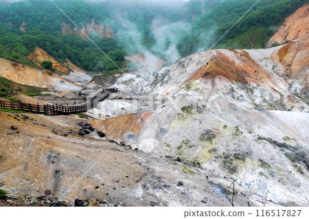 Steam from Jigokudani 116517827