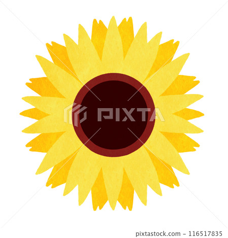 向日葵花 向日葵花 116517835