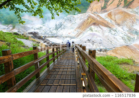 Jigokudani Walking Deck 116517836