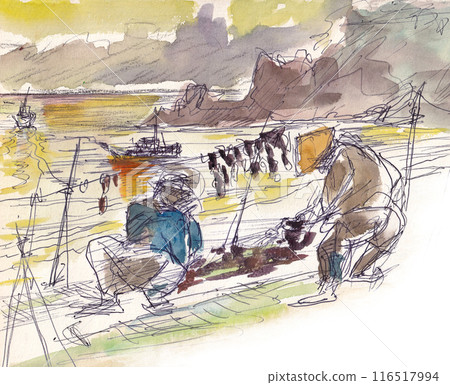 Sado [Senkaku Bay Expert] Seaweed Harvesting 116517994