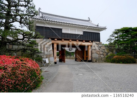 Takamatsu City, Kagawa Prefecture_Takamatsu Castle Sakura Gate 3_May 2024 Takamatsu City, Kagawa Prefecture_Takamatsu Castle Sakura Gate 3_May 2024 116518240
