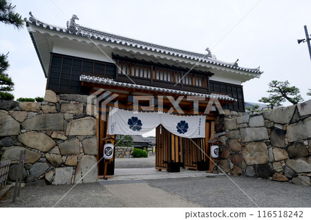 Takamatsu City, Kagawa Prefecture_Takamatsu Castle Sakura Gate 6_May 2024 Takamatsu City, Kagawa Prefecture_Takamatsu Castle Sakura Gate 6_May 2024 116518242