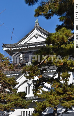 Okazaki Castle stands majestically against the blue early winter sky. 116518263