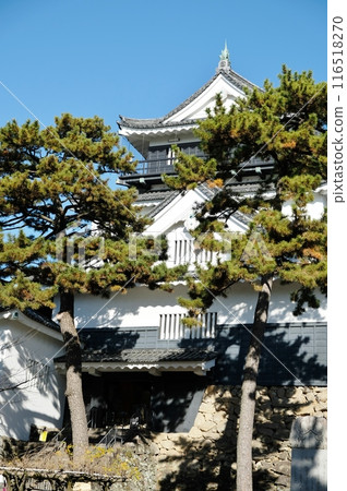 Okazaki Castle stands majestically against the blue early winter sky. Okazaki Castle stands majestically against the blue early winter sky. 116518270
