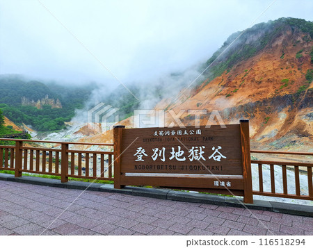 登別地獄谷展望台 116518294