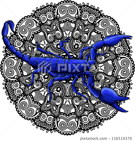 draw colored animal scorpion vector illustration design draw colored animal scorpion vector illustration design 116518378