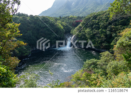 Toroki Falls (a waterfall that falls into the sea) on Yakushima Island 116518674