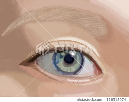 Eyes (right eye) Blue eyes Eyes (right eye) Blue eyes 116518974