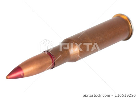 7.62x54R Mosin-Nagant Incendiary ammunition ammunition cartridge with red nose 116519256