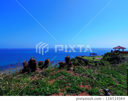 The Pacific Ocean as seen from Chinen Cape Park (Nanjo City, Okinawa Prefecture) The Pacific Ocean as seen from Chinen Cape Park (Nanjo City, Okinawa Prefecture) 116519364