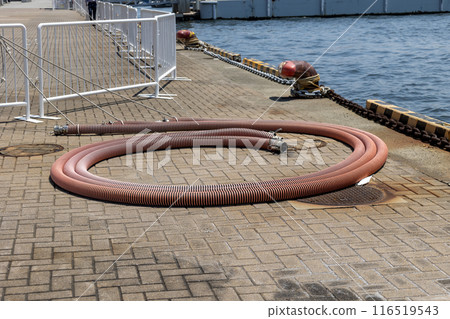安裝在碼頭上用於停泊船舶的繫柱和船用軟管 安裝在碼頭上用於停泊船舶的繫柱和船用軟管 116519543