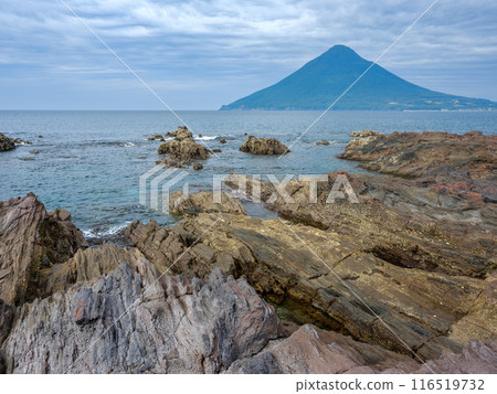鹿兒島縣指宿市_從長崎花看到的開聞岳風景 鹿兒島縣指宿市_從長崎花看到的開聞岳風景 116519732