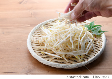 Bean sprouts Bean sprouts 116519857
