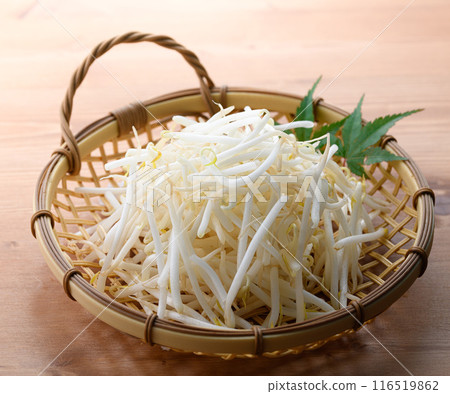豆芽 豆芽 116519862