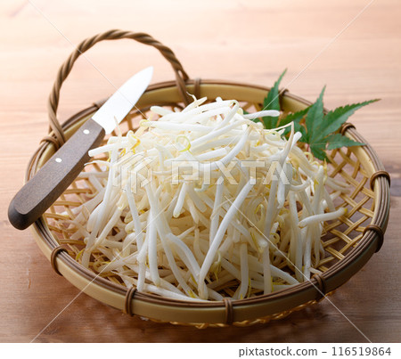 豆芽 116519864